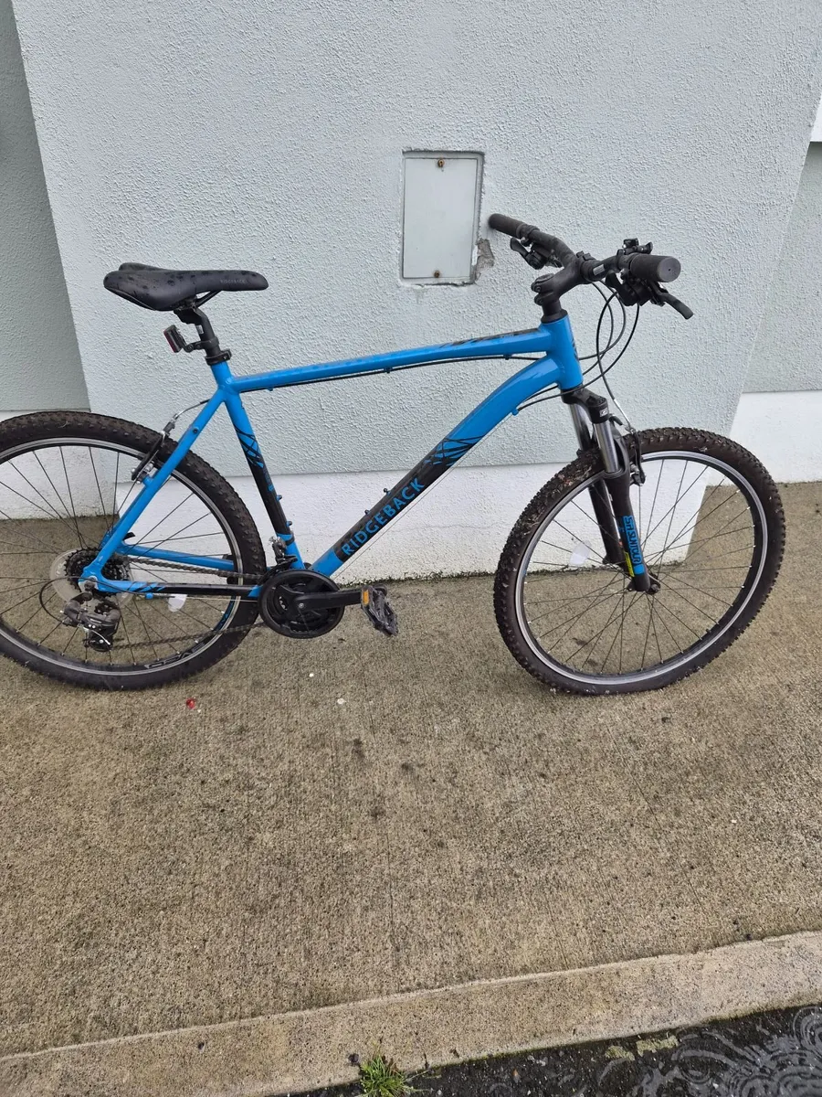 Bikes - Image 3