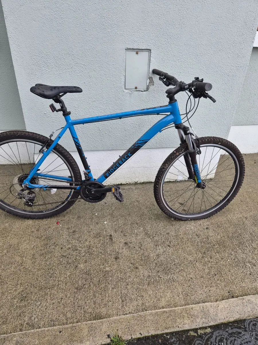 Bikes - Image 4