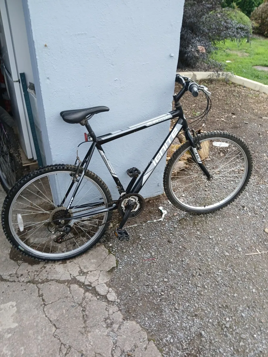 Mens bike - Image 2