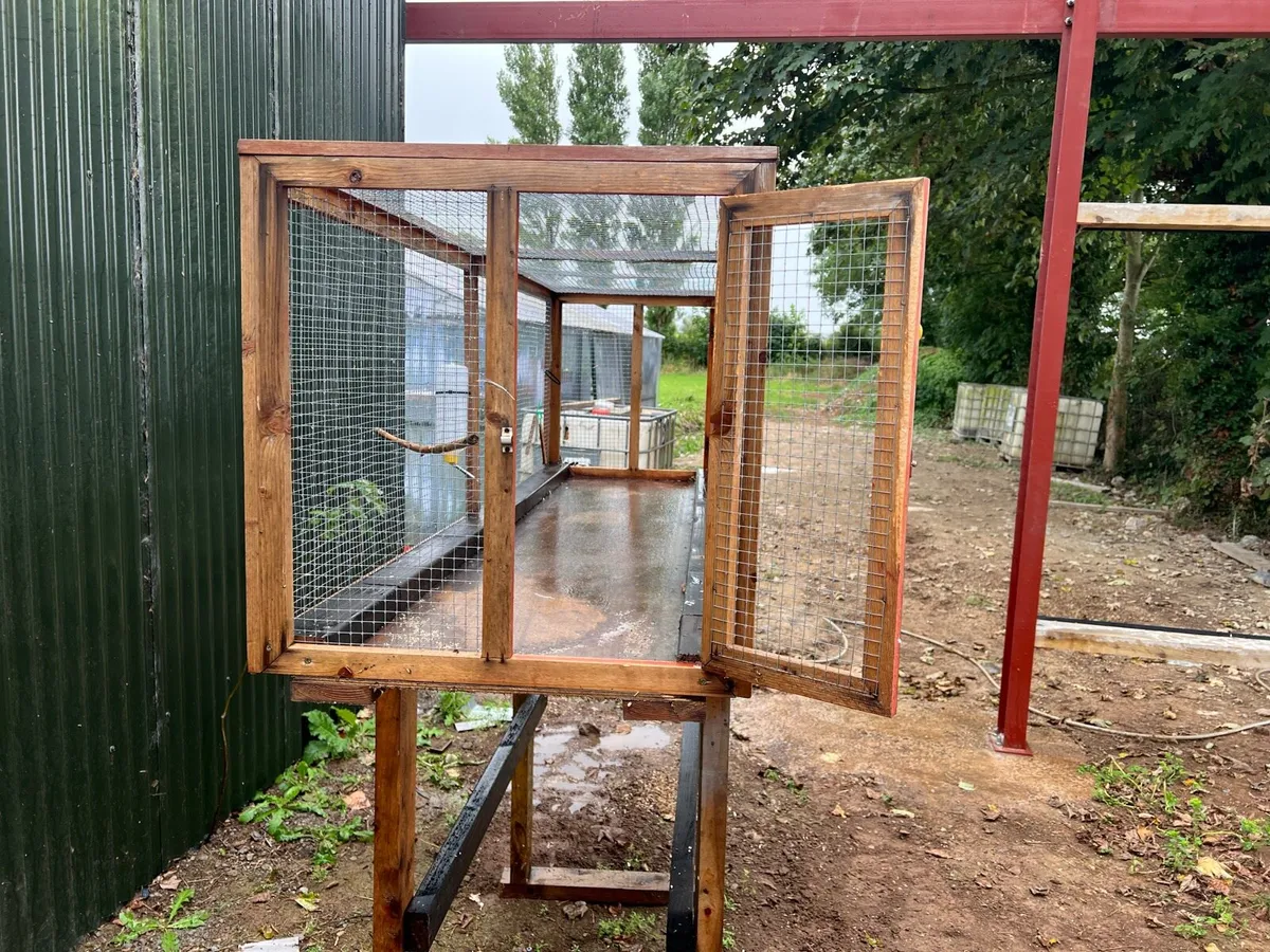 Budgie/Canary Aviary - Image 4