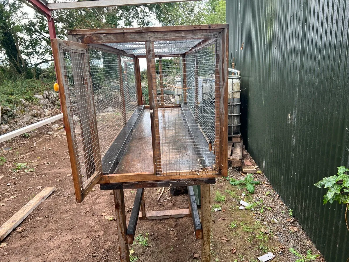 Budgie/Canary Aviary - Image 3