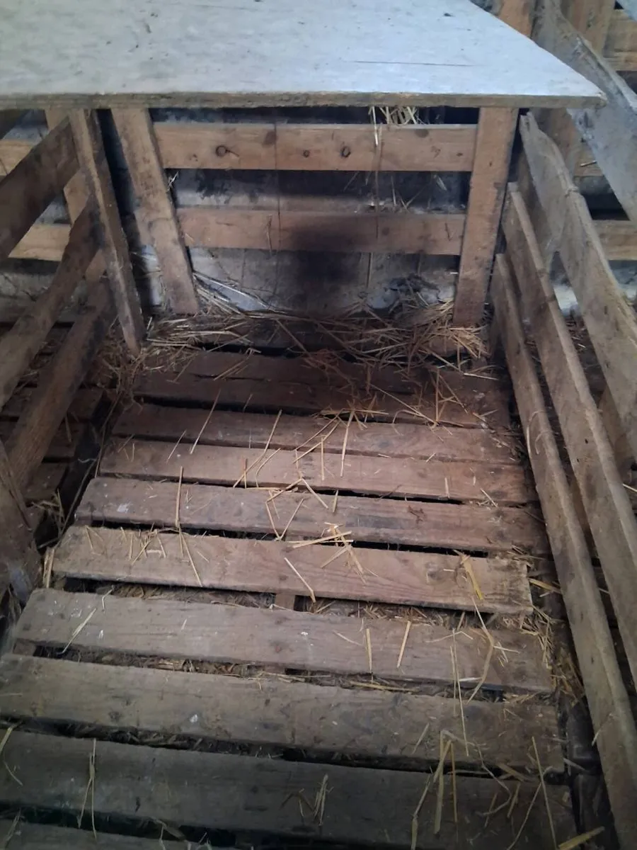 Calf pens - Image 2