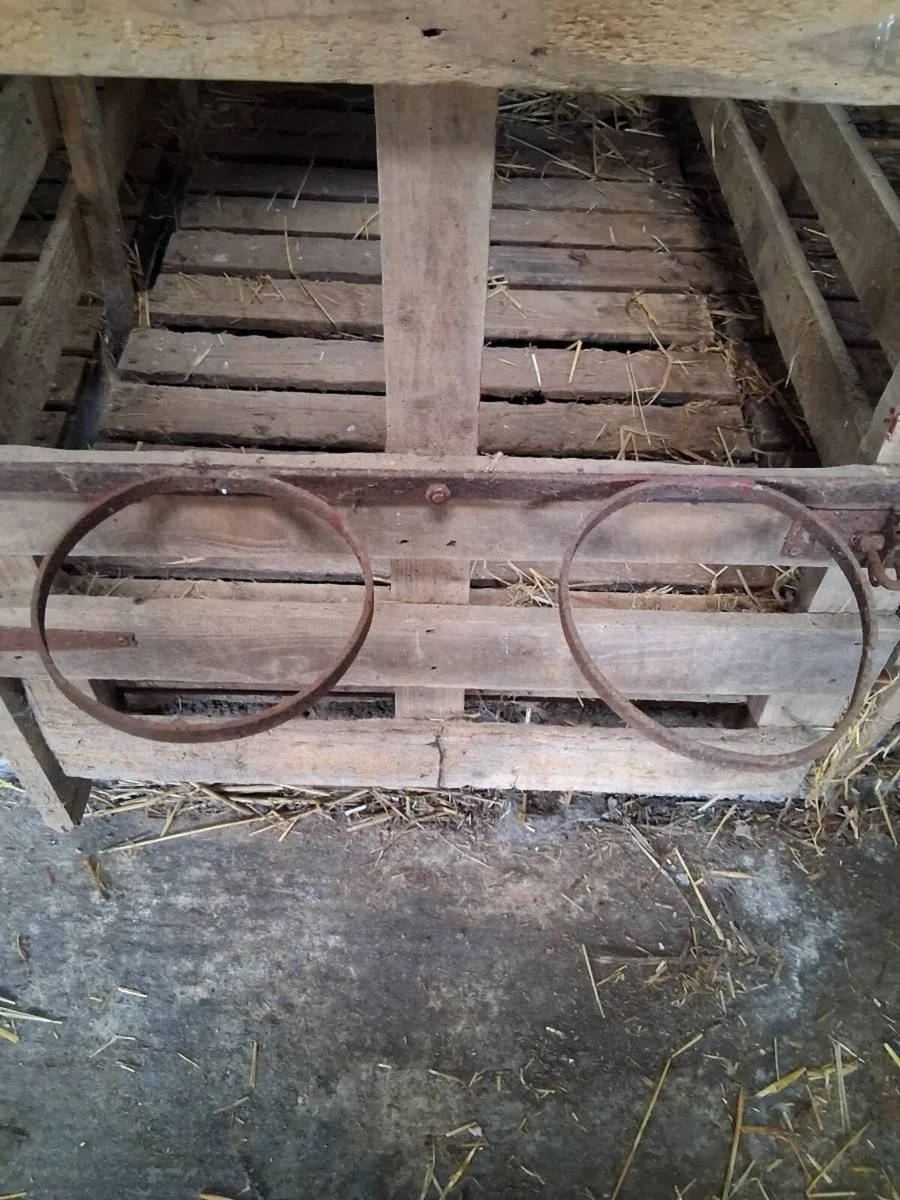 Calf pens - Image 3