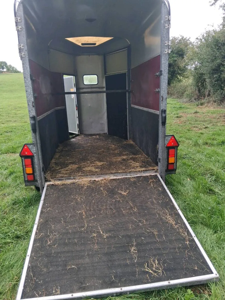 Ifor Williams 505 horse box - Image 4