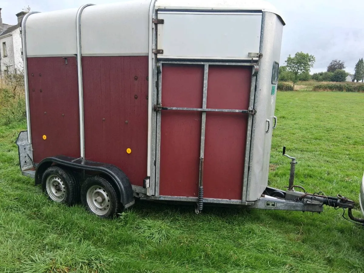 Ifor Williams 505 horse box - Image 2