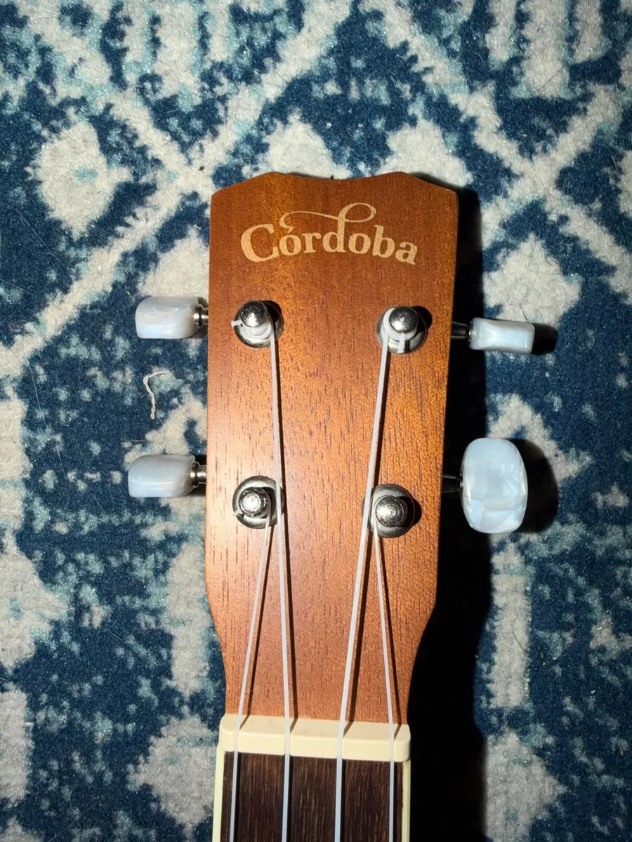 Cordoba Ukulele - Image 4
