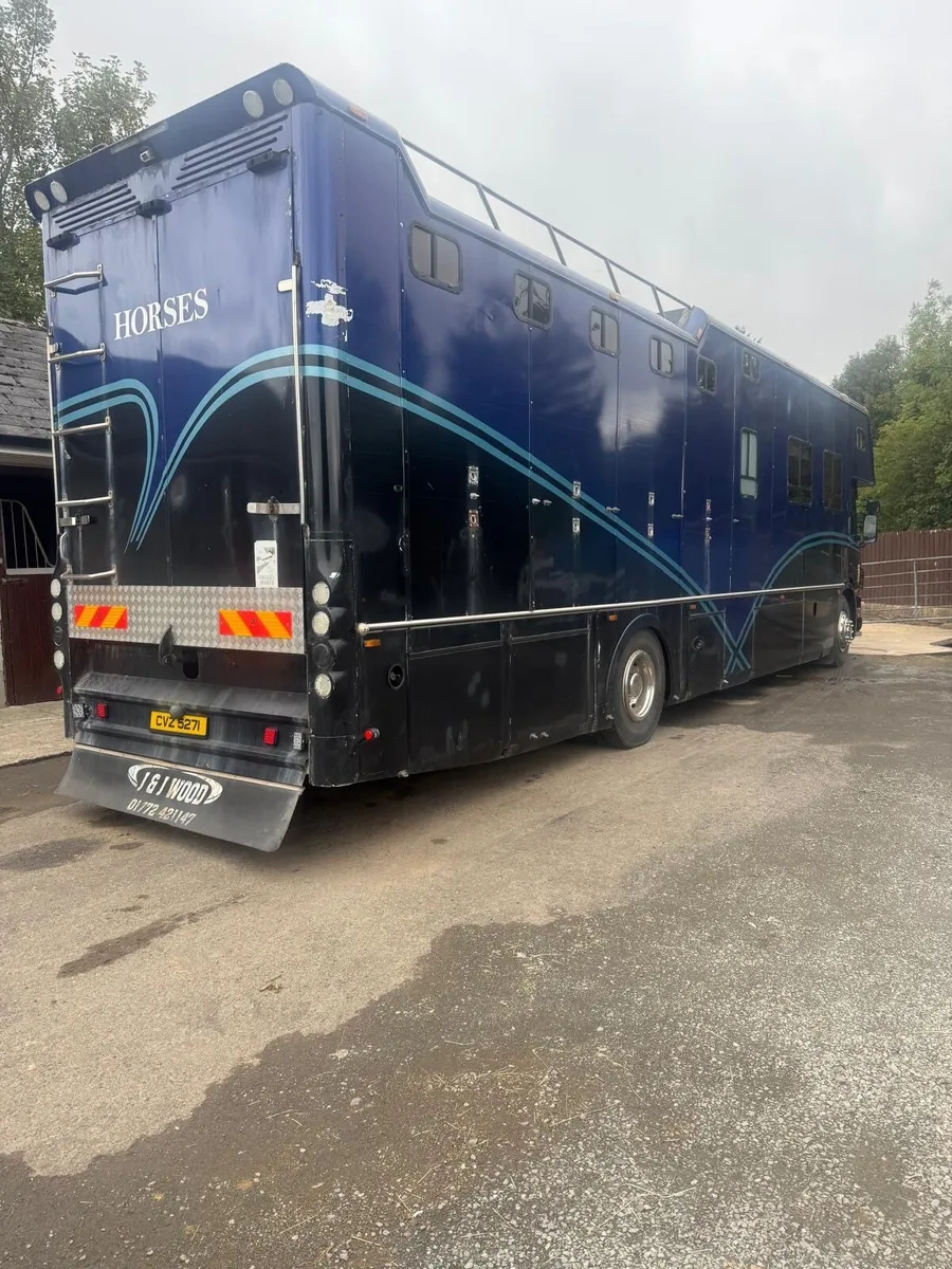 Scania Horse lorry - Image 3