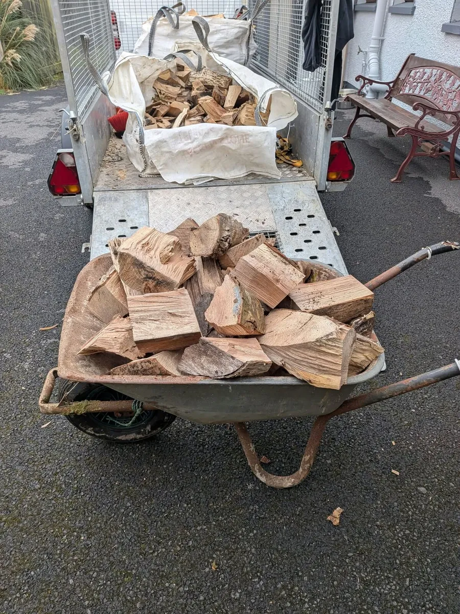 Firewood - Image 1