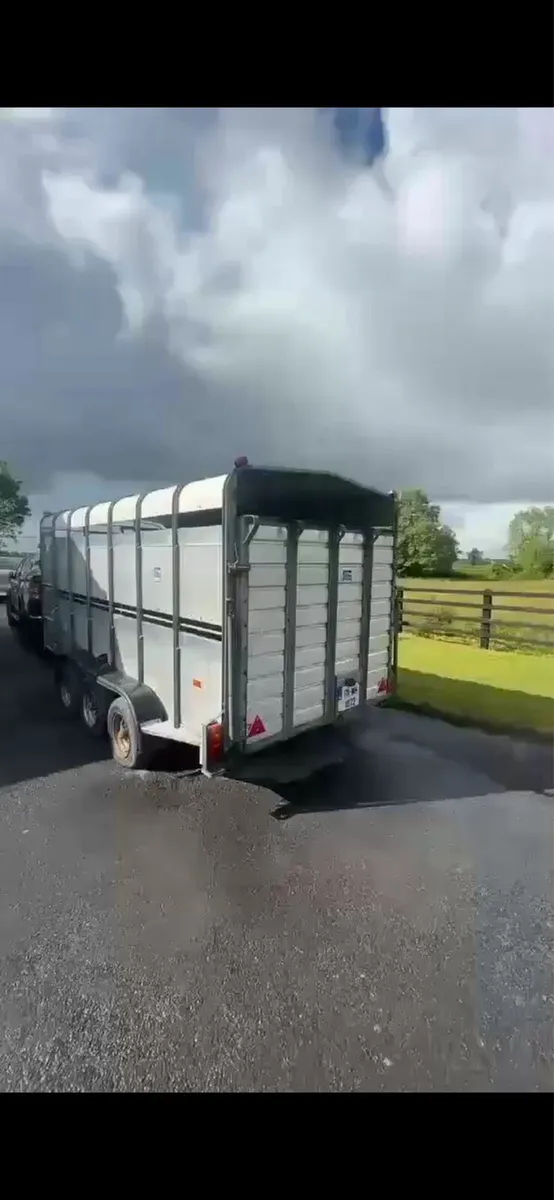 Cattle. Trailer - Image 3