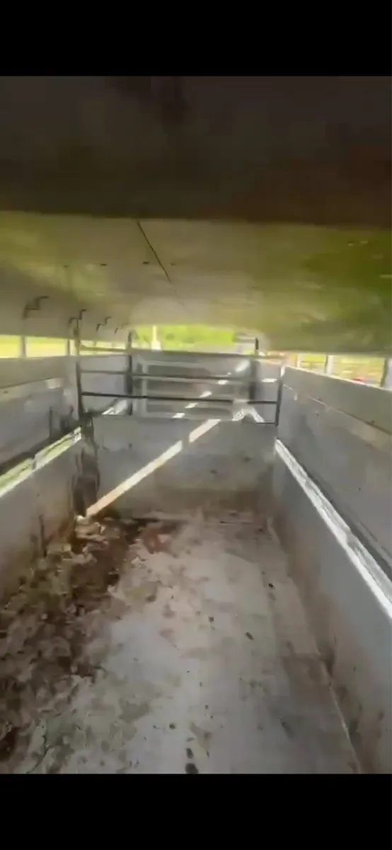 Cattle. Trailer - Image 4