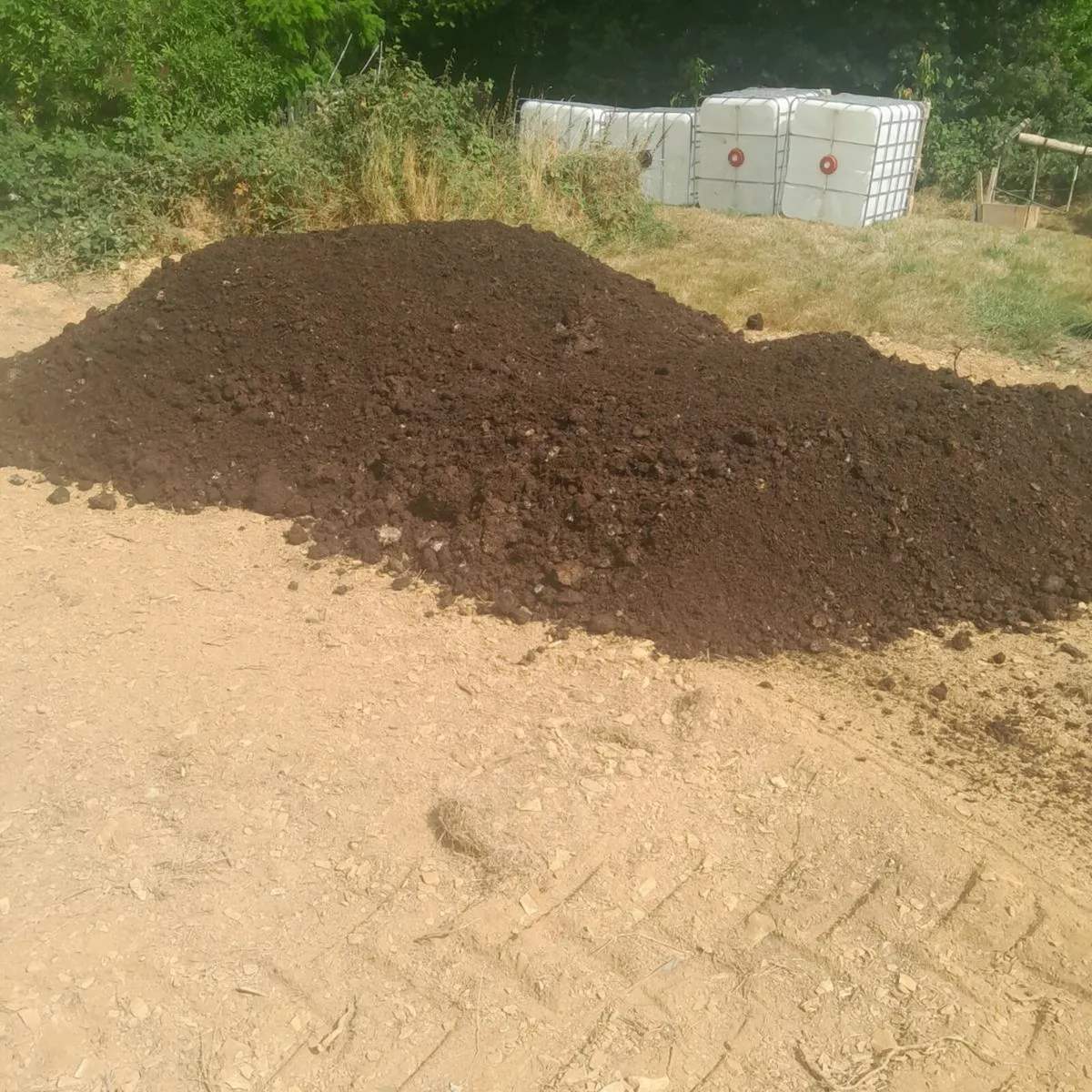 Mushroom compost for sale - Image 4