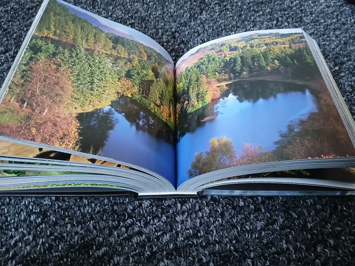Books - Image 4