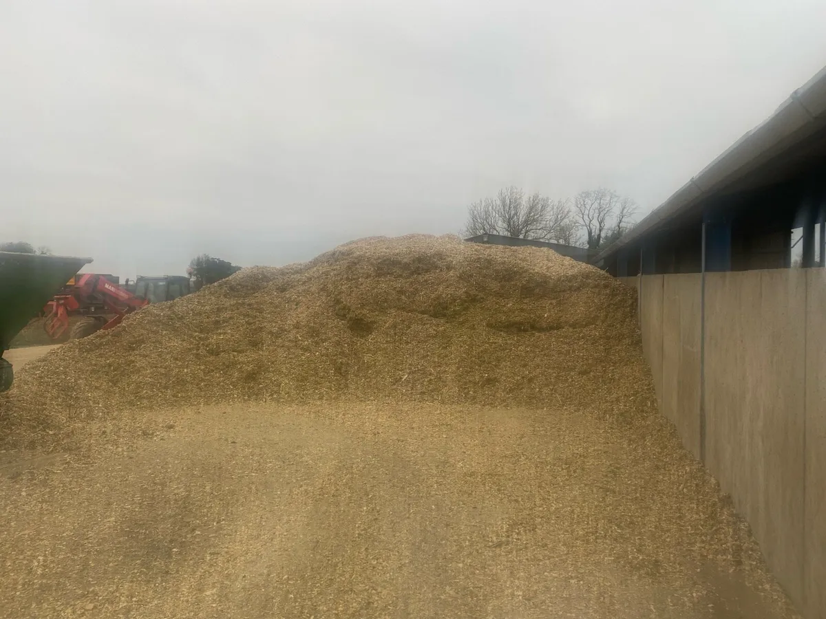 ### Maize Bales ###🐄🐄🐄 💪💪 - Image 3