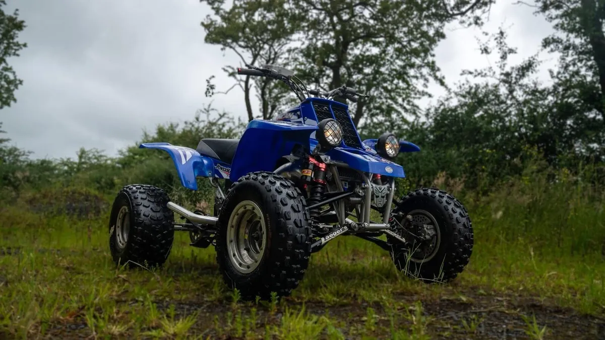 Yamaha Banshee - Image 2