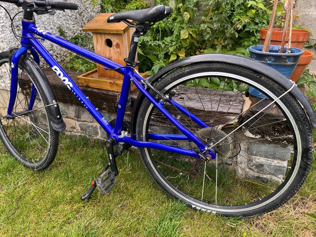Frog 69 Bike - Image 2
