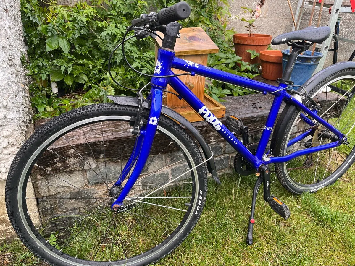Frog 69 Bike - Image 3