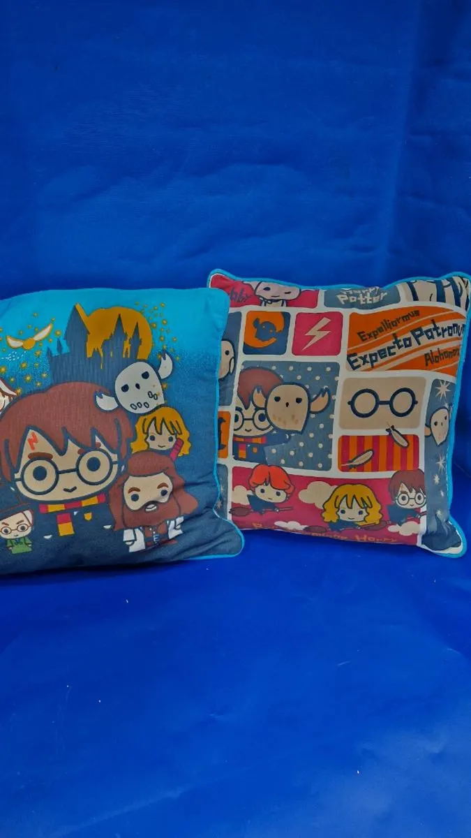 Official Harry Potter Cushions — Set of 2 - Image 1