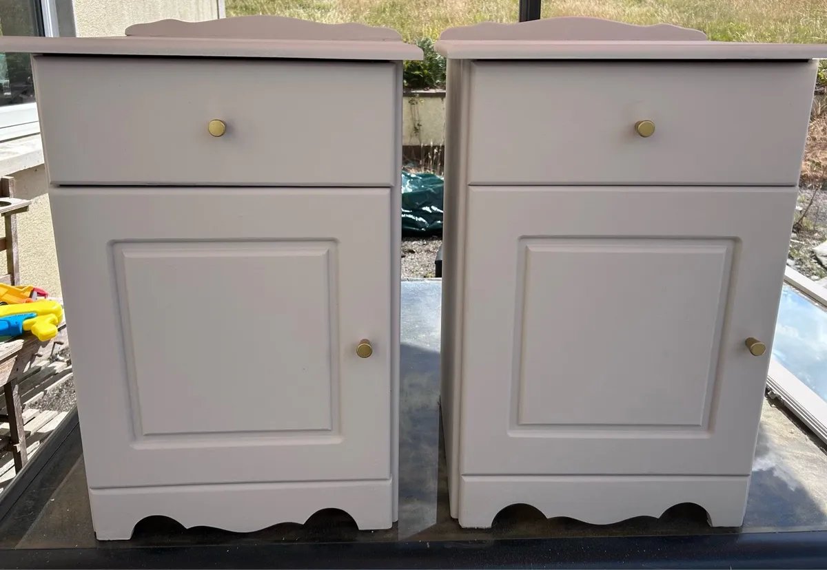Pair newly refurbished lockers - Image 4