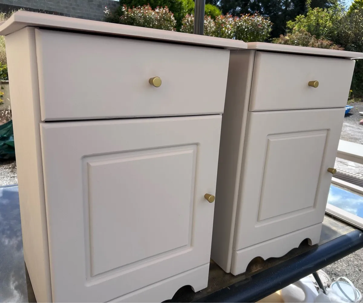 Pair newly refurbished lockers - Image 1