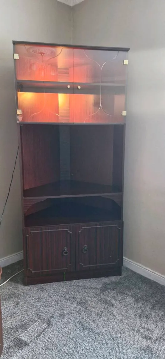 Living Room Cornor Unit - Image 1