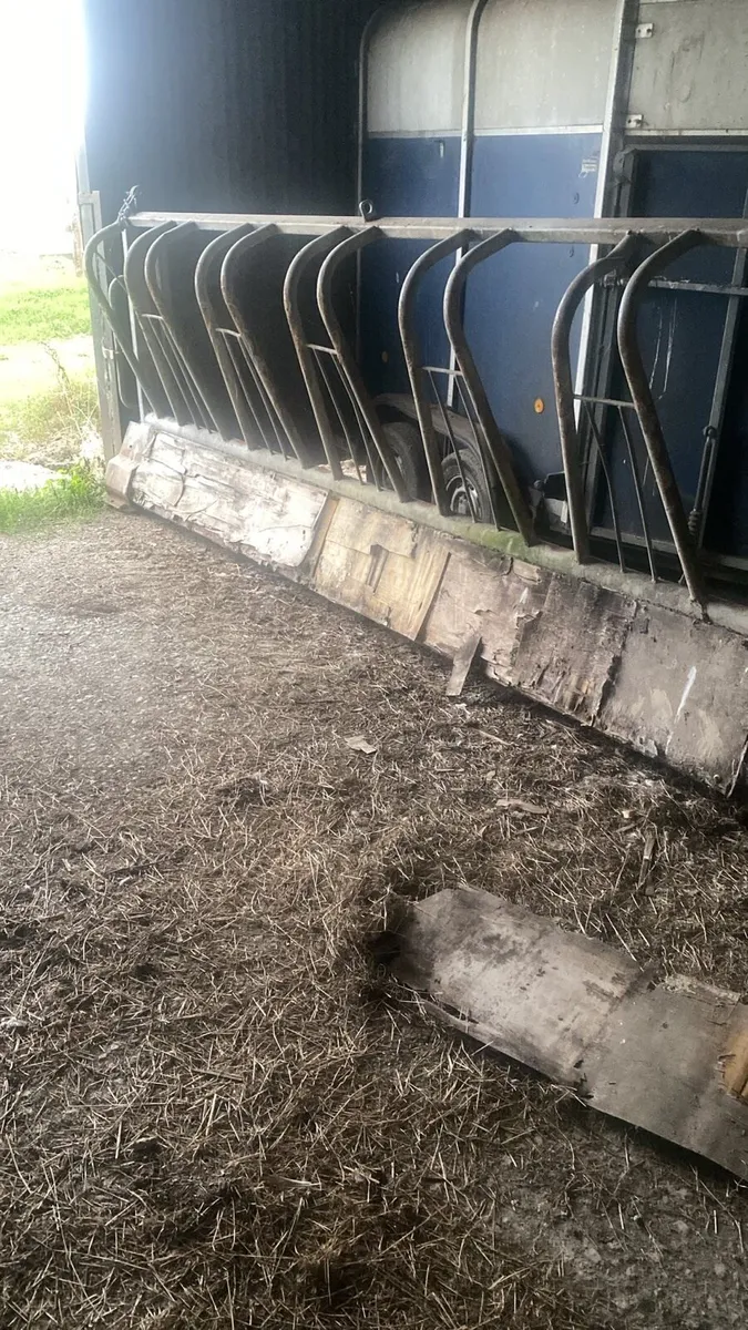 Cow pow head feed barriers - Image 3