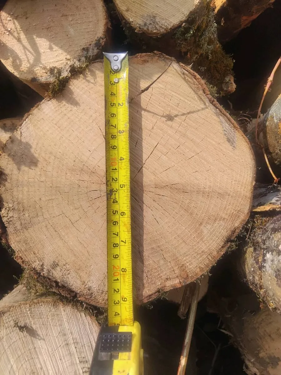 Ash logs - Image 1