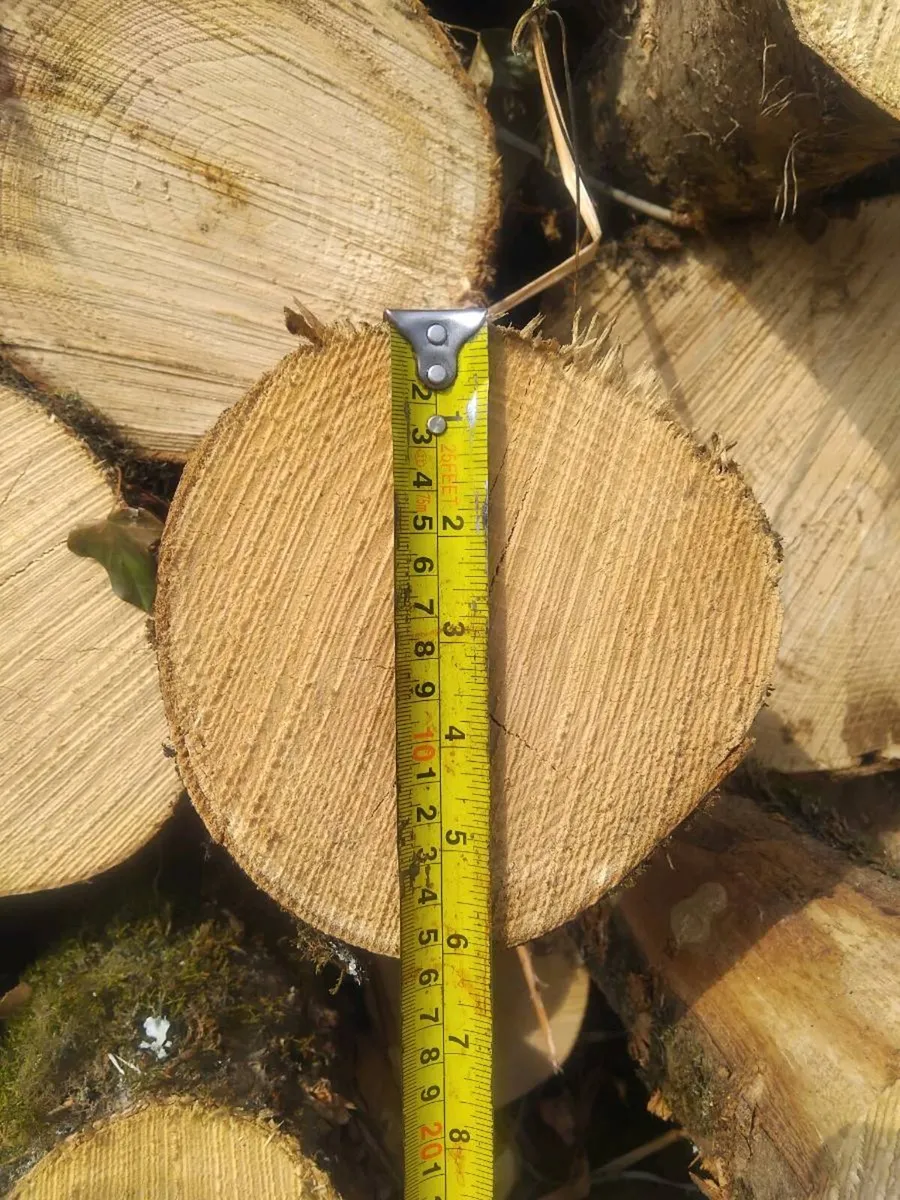 Ash logs - Image 3