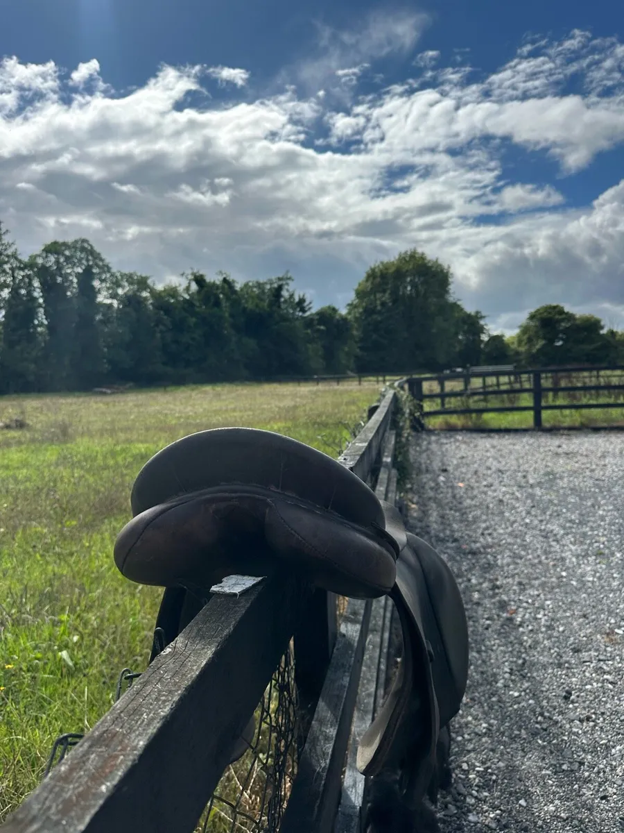 Berney Bros Saddle - Image 2