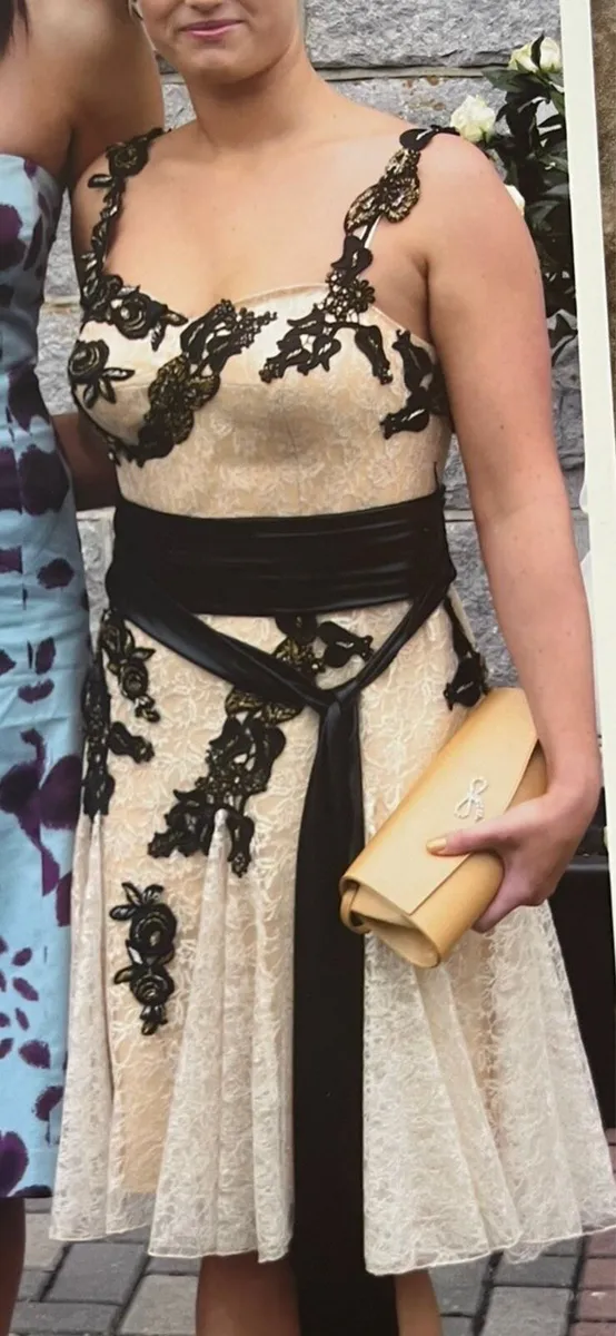 Vintage Glam Beaded Lace Cocktail Dress - Image 1
