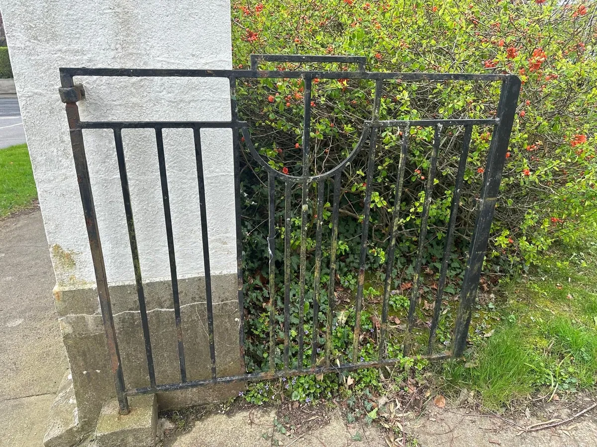 Iron - Image 1