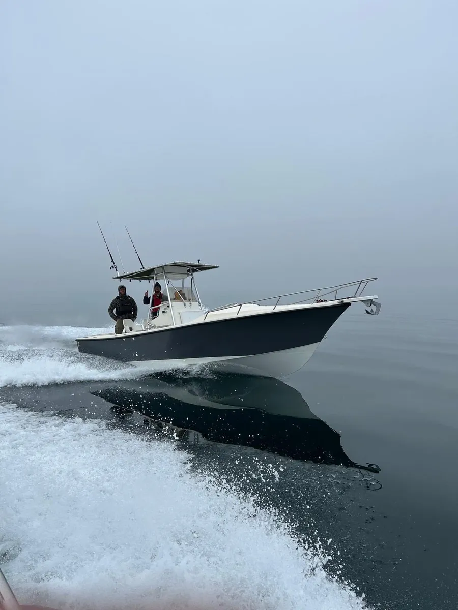Shamrock 22 Stalker Yanmar 230hp Diesel - Image 2