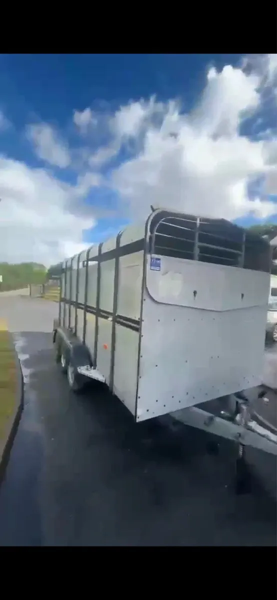 Cattle trailer - Image 1