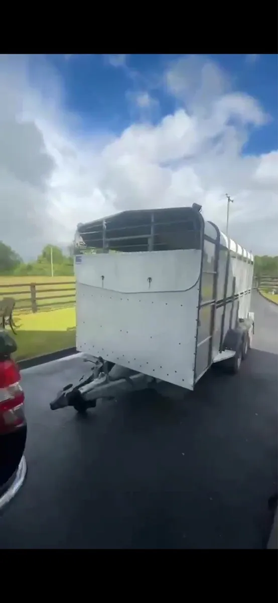 Cattle trailer - Image 3