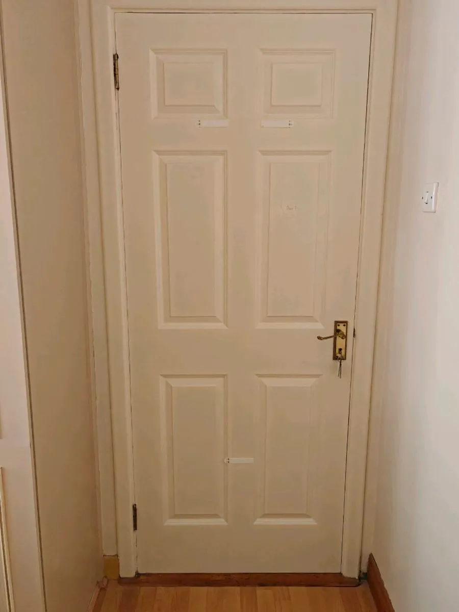 Regency 32" & 30" internal doors painted - Image 4