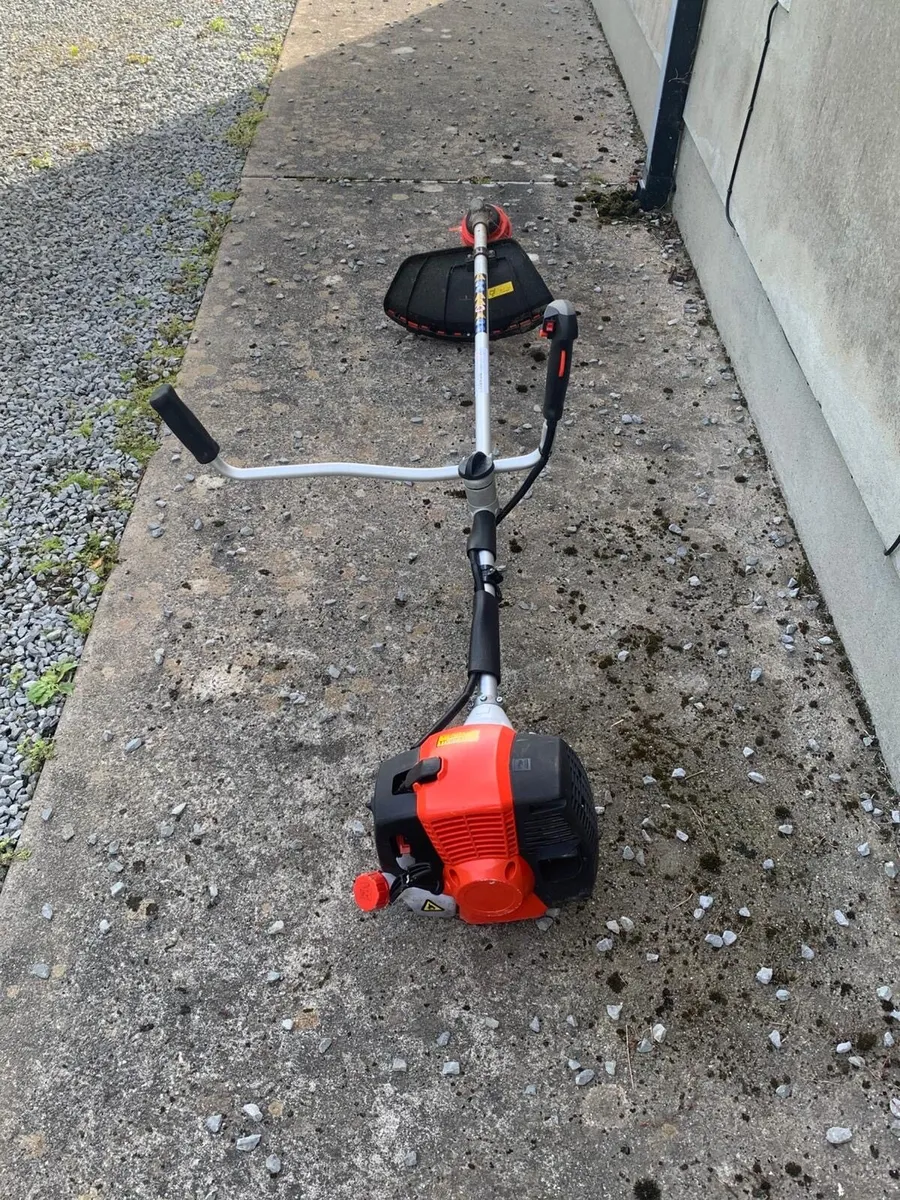 Victor strimmer - Image 2