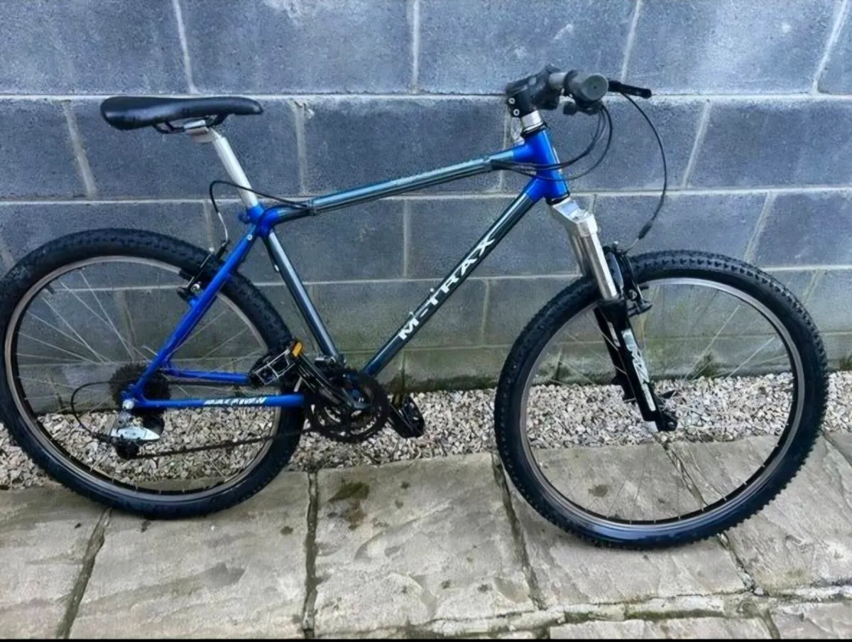Raleigh M-TRAX Team Titanium - Image 1