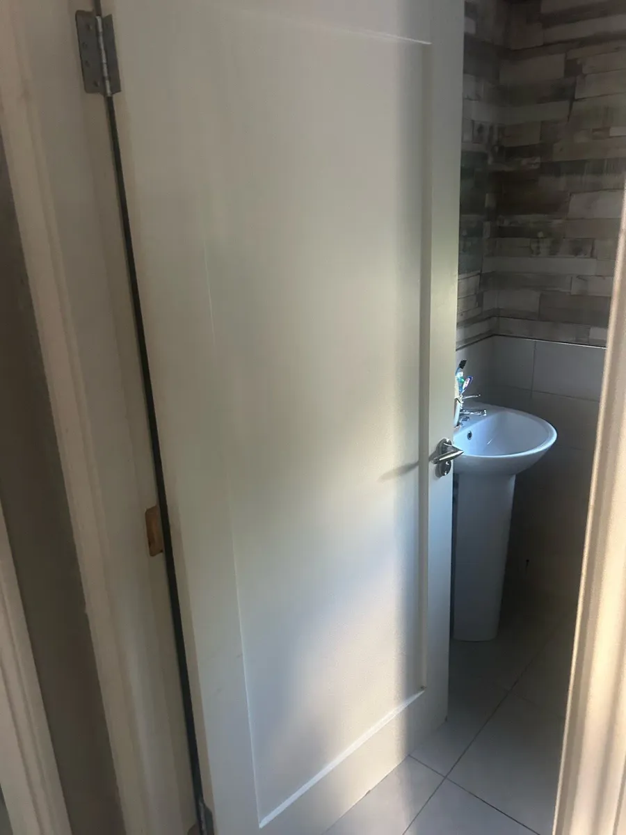 Internal door - Image 1