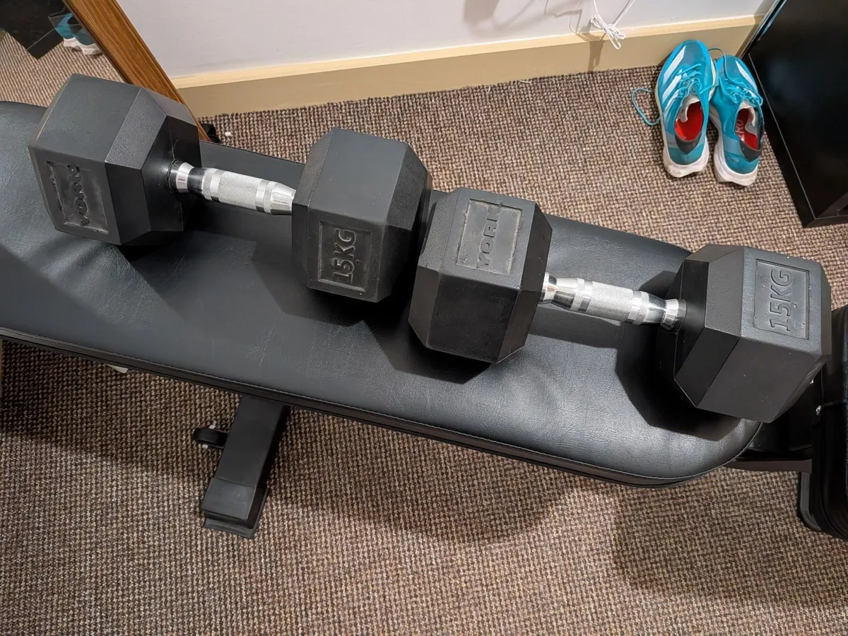 Bolt Bench and 15 KG dumbbells - Image 2