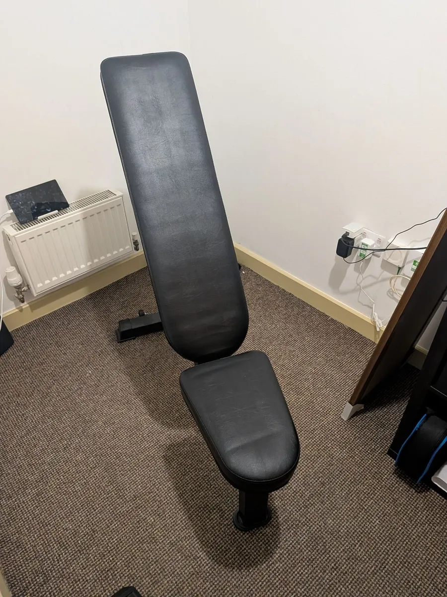 Bolt Bench and 15 KG dumbbells - Image 1