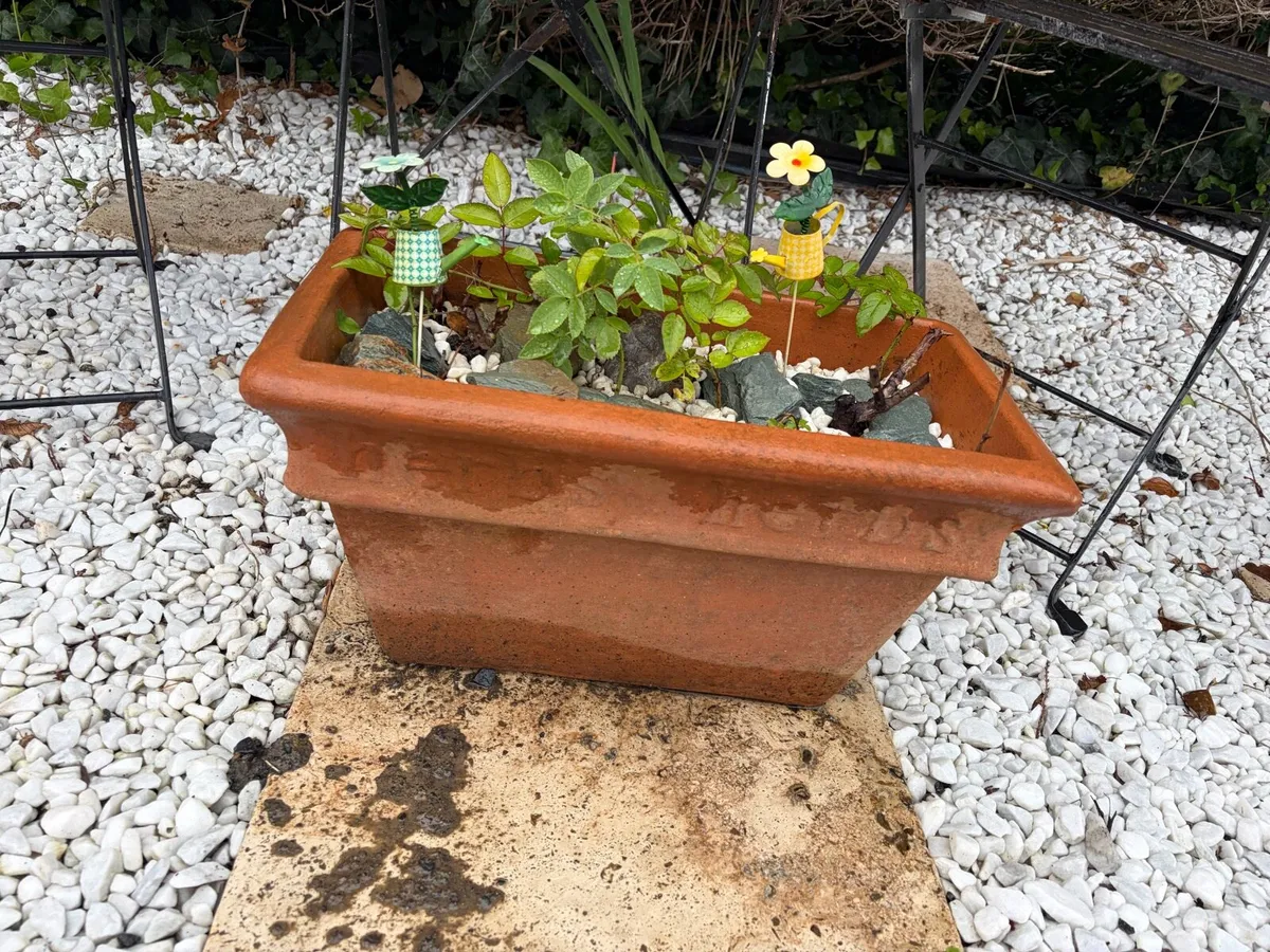 garden ceramic pots + flower + table + chairs - Image 4
