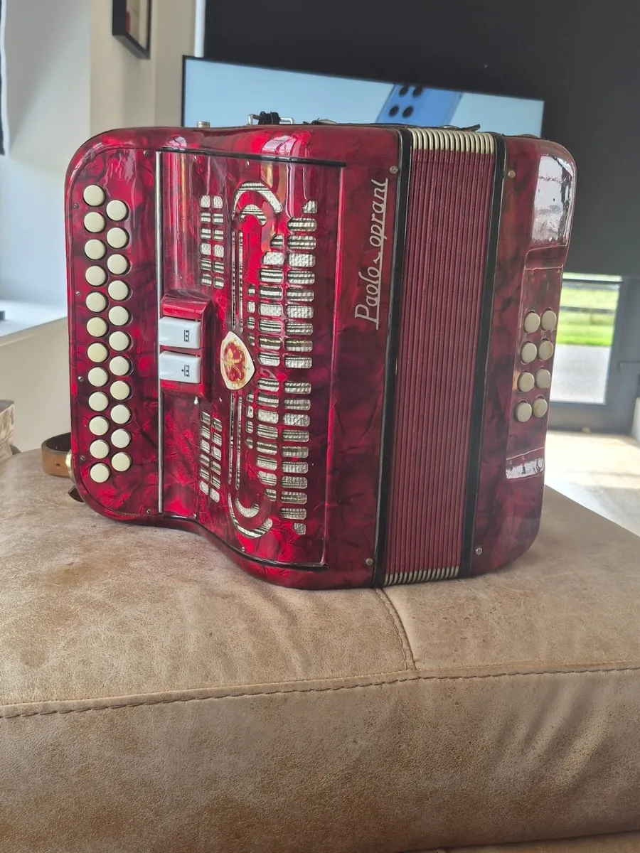Accordion in case - Image 1