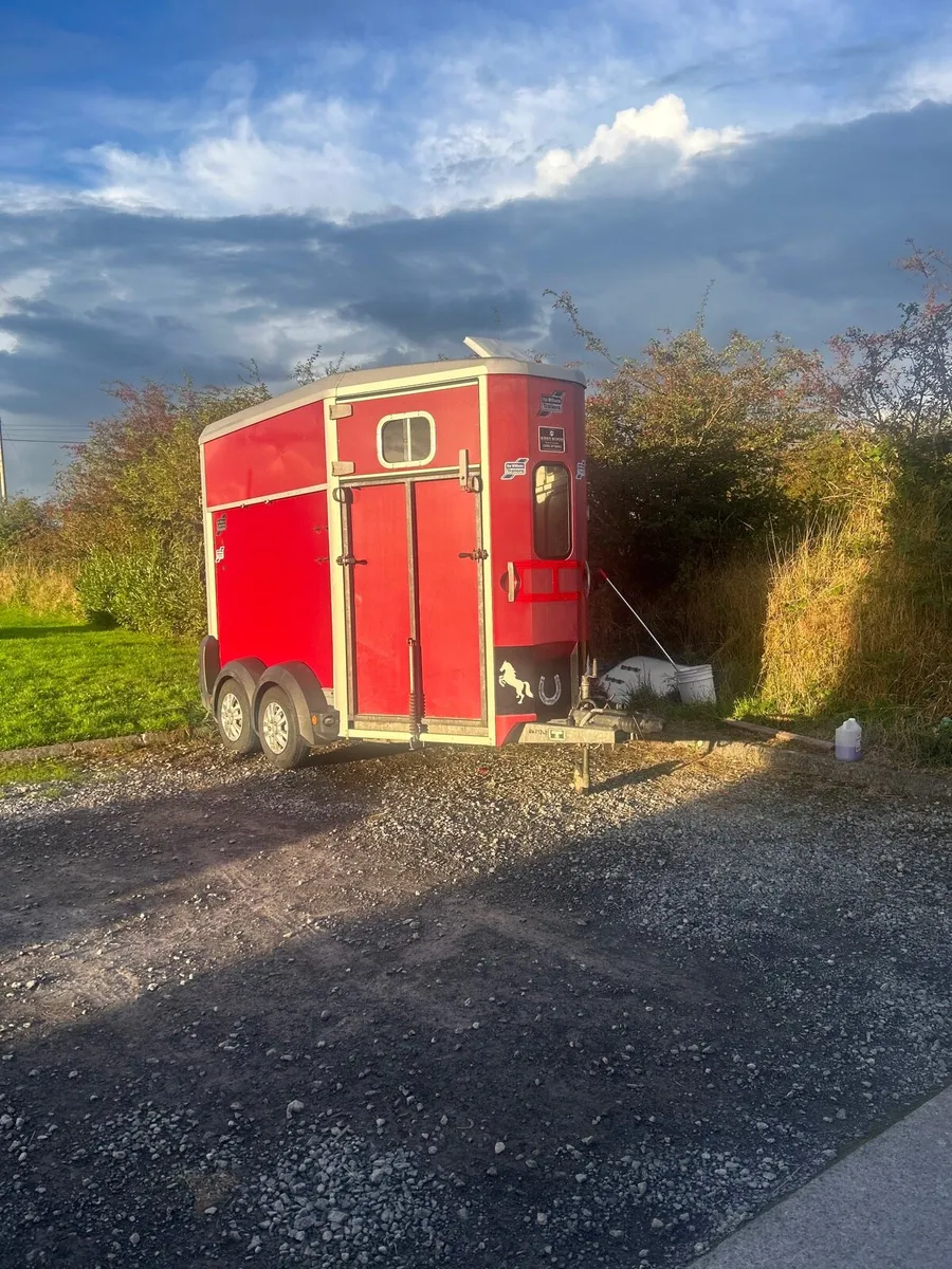 Ifor Williams horse box 506 - Image 1