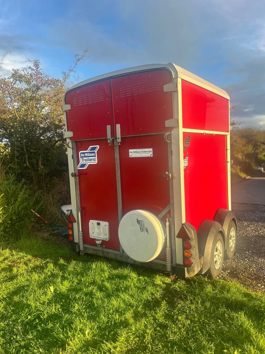 Ifor Williams horse box 506 - Image 2