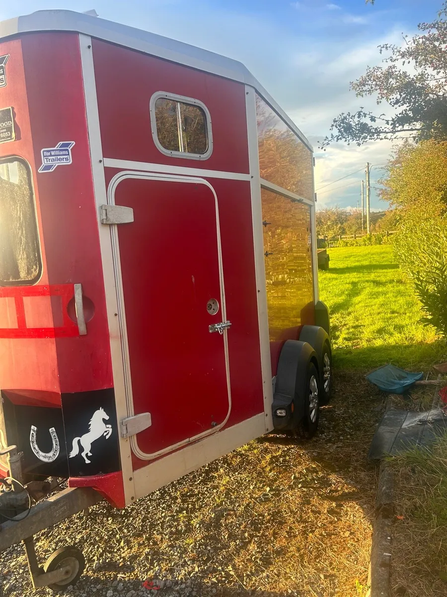 Ifor Williams horse box 506 - Image 3