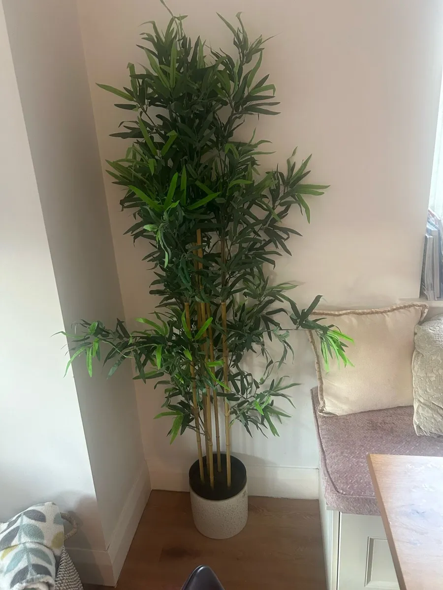 IKEA plant