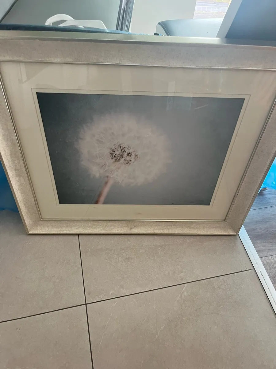 Miscellaneous - Image 2
