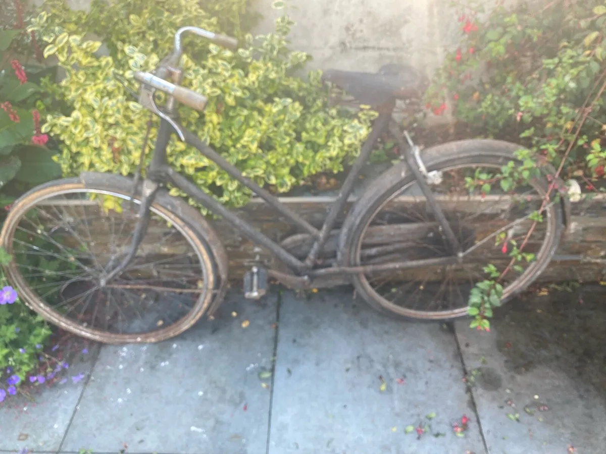 Bicycle - Image 2