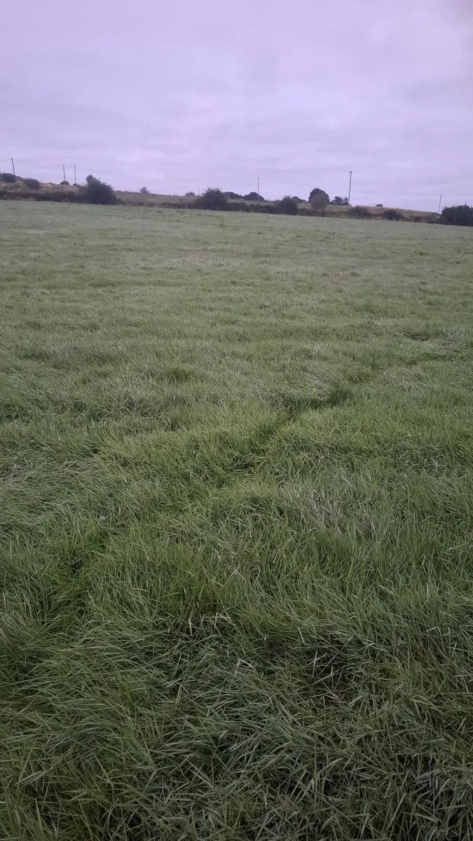 Silage bales - Image 3