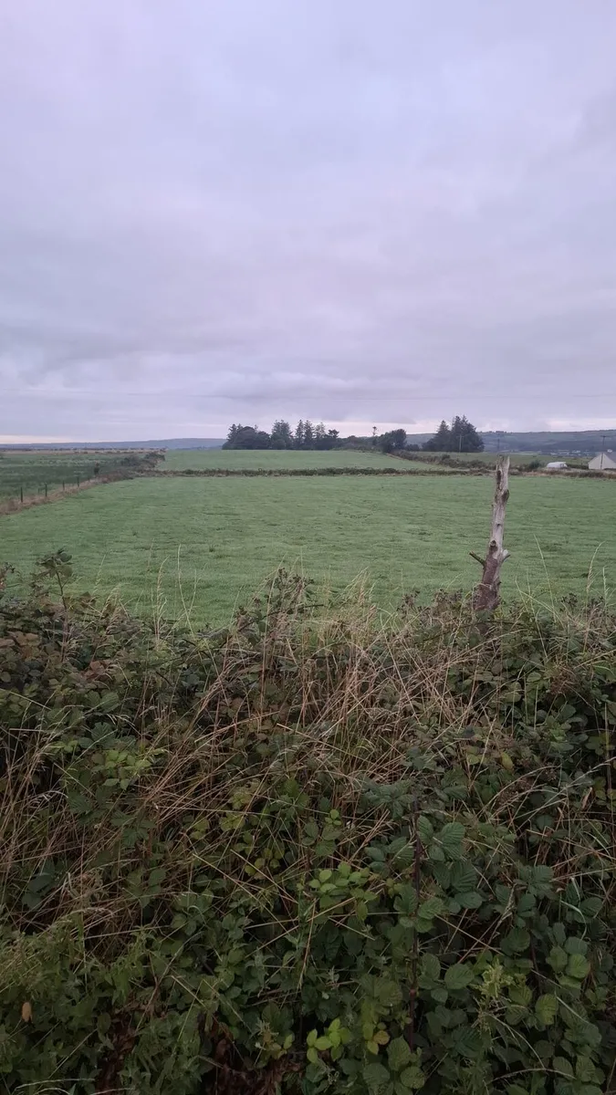 Silage bales - Image 4