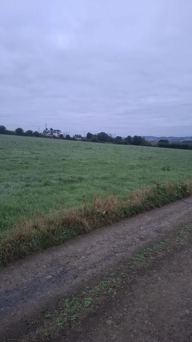 Silage bales - Image 1